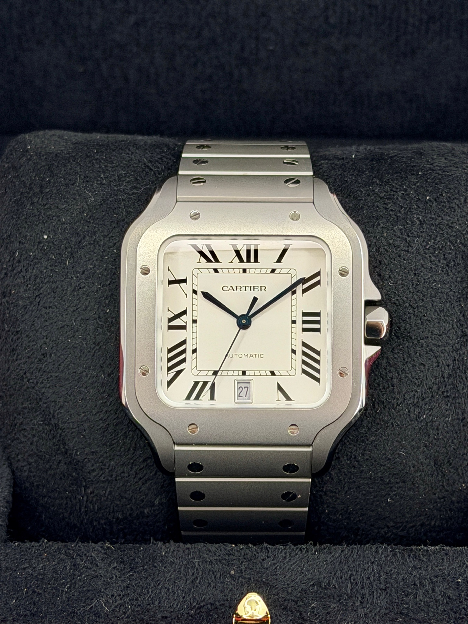 Front Face Pre-Owned Cartier Santos Titanium WSSA0089